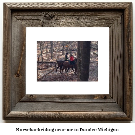 horseback riding near me in Dundee, Michigan